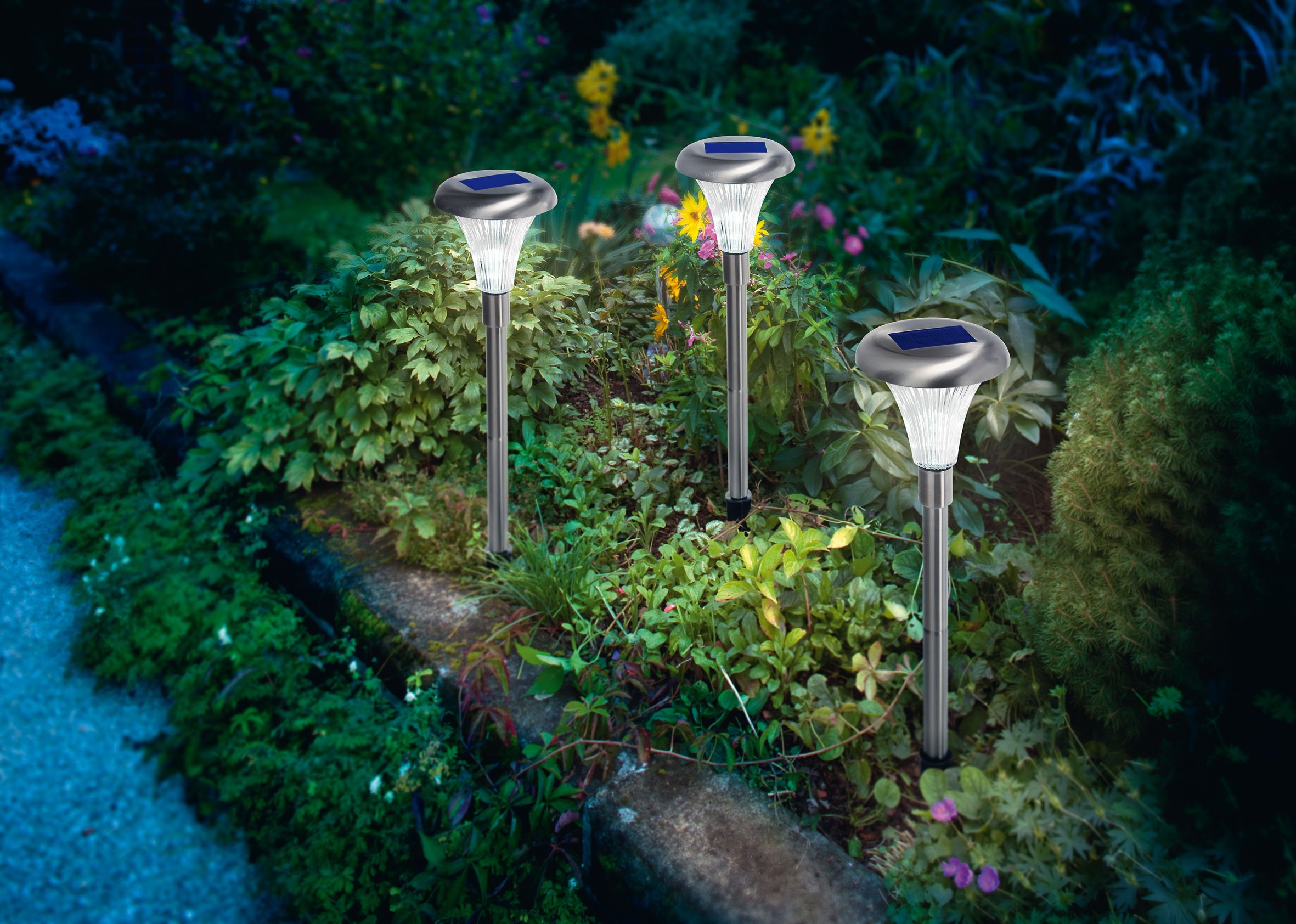 ESOTEC Shop -ESOTEC Shop ESOTEC